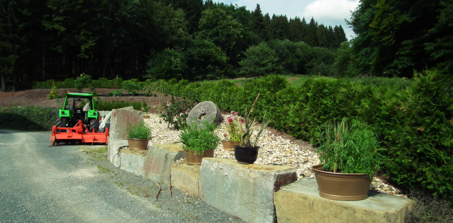 Aussenanlage (Planung u. Gestaltung)